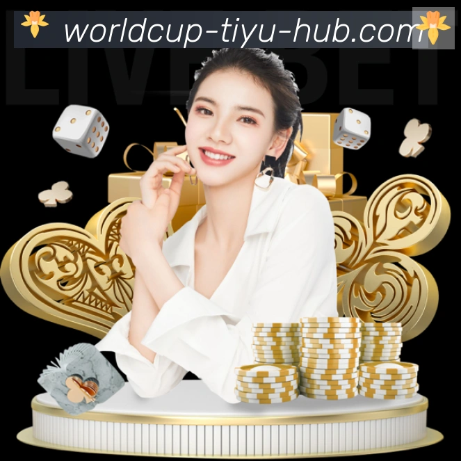 奖项证书